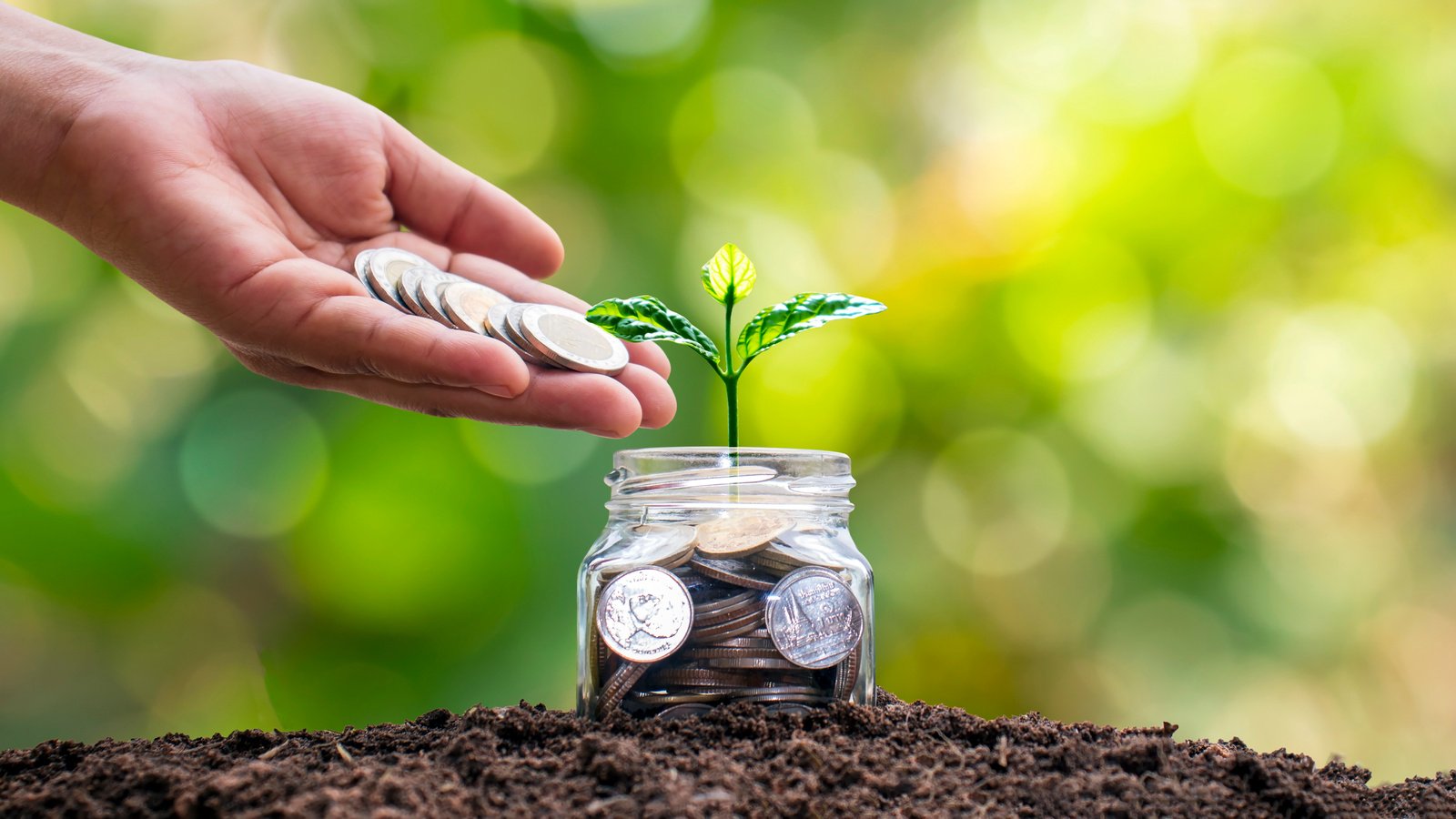 Hand Putting Coins in a Jar with  Seedling